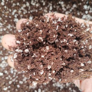 Germination mix
